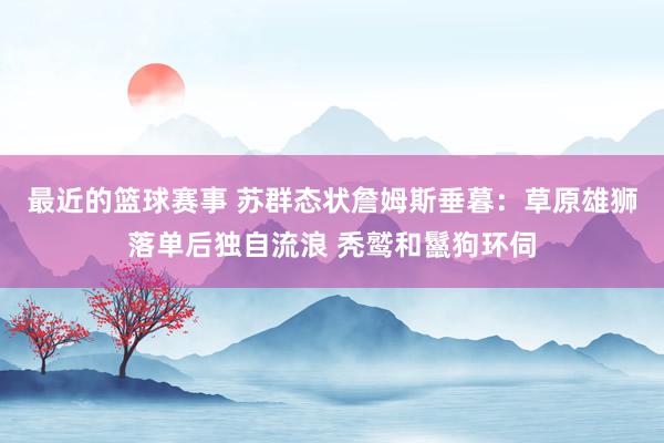 最近的篮球赛事 苏群态状詹姆斯垂暮：草原雄狮落单后独自流浪 秃鹫和鬣狗环伺