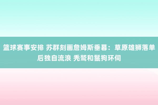 篮球赛事安排 苏群刻画詹姆斯垂暮：草原雄狮落单后独自流浪 秃鹫和鬣狗环伺