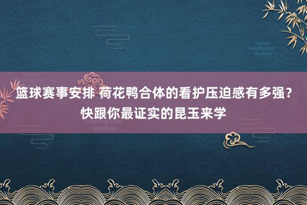 篮球赛事安排 荷花鸭合体的看护压迫感有多强？快跟你最证实的昆玉来学